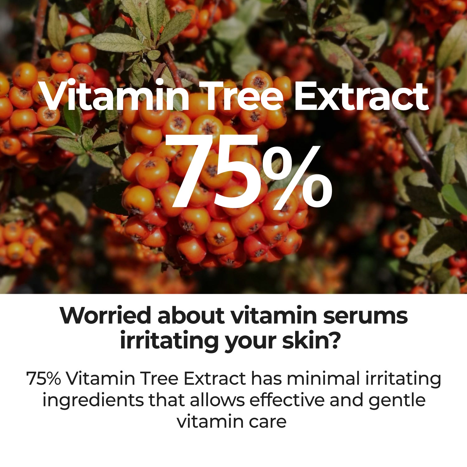 No.5 Goodbye Blemish Serum