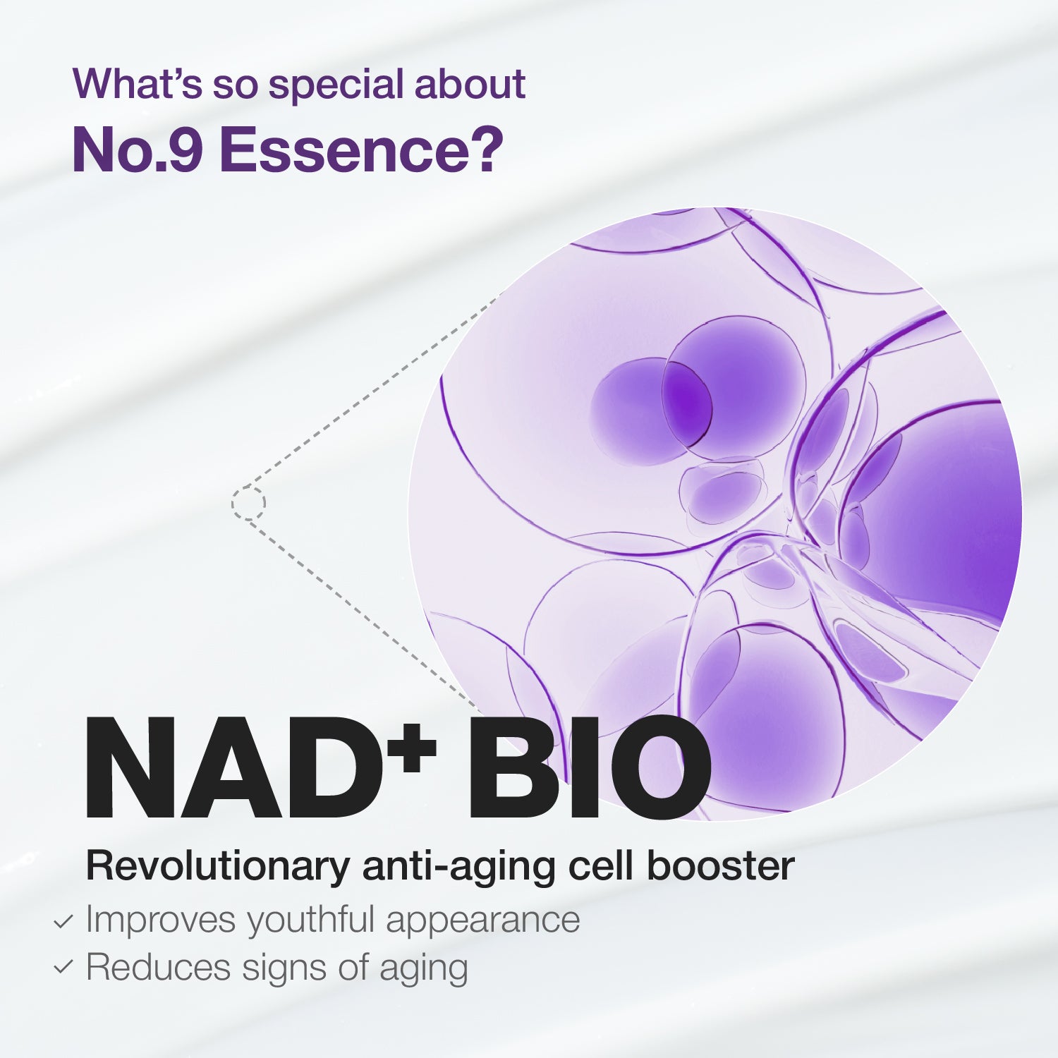 ESIENCE NANO SEEP SERUM 55g・22g Beauty Ninja | NANOA SC Face Serum with EGF from Human Stem