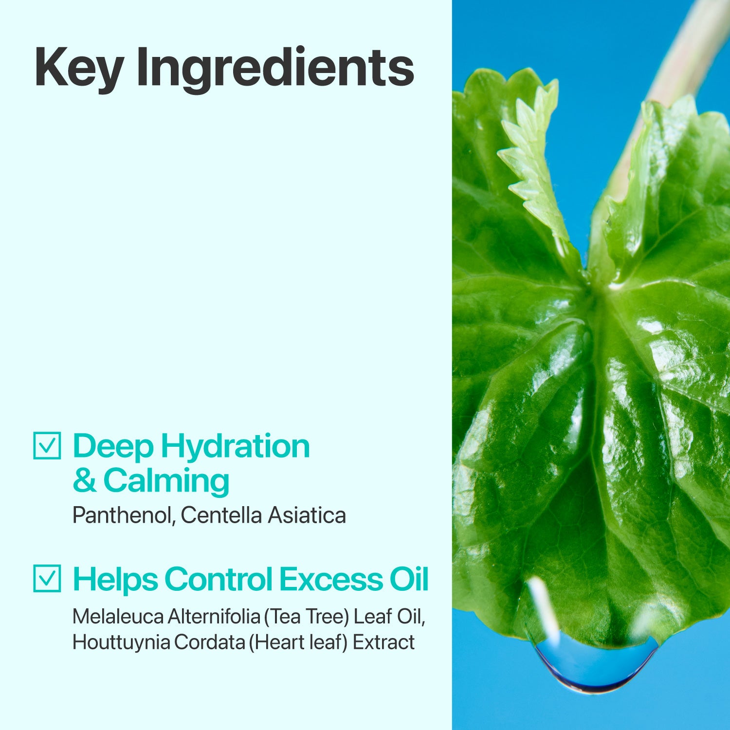 No.1 Centella Re-Leaf Green Toner Pads
